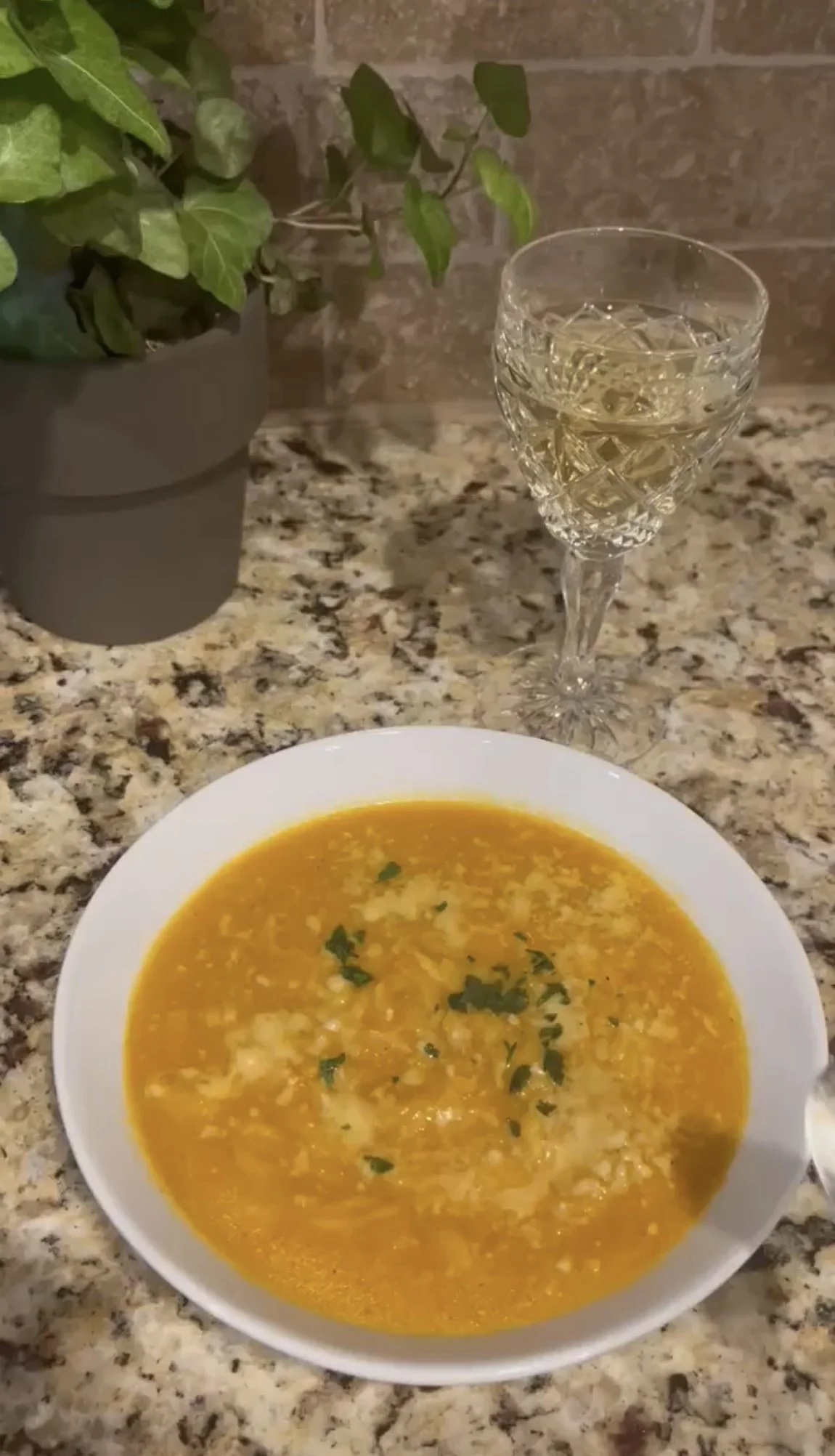 Hidden Veggie Orzo Soup